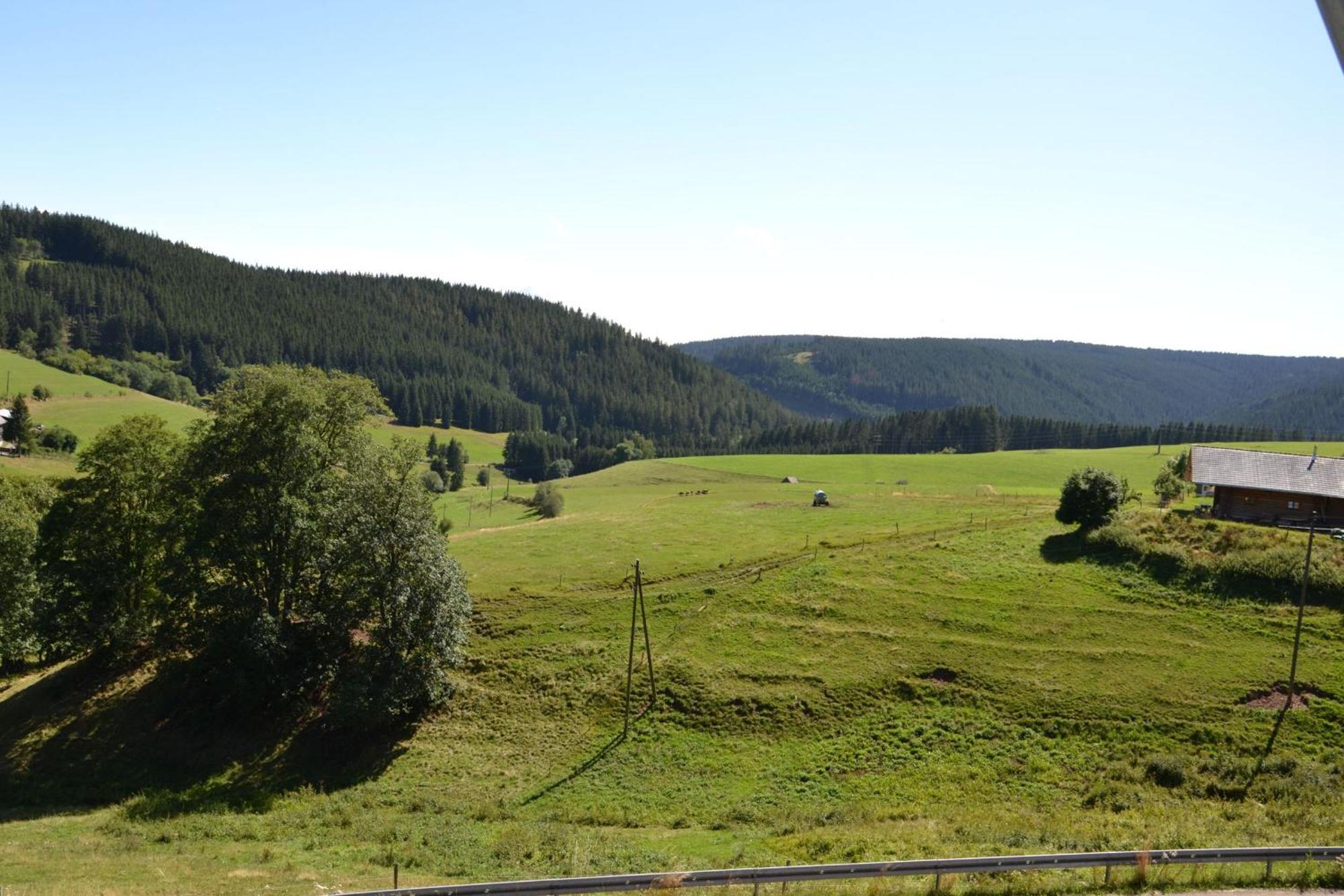 Ferienwohnung Beim Pauli Titisee-Neustadt Exterior foto